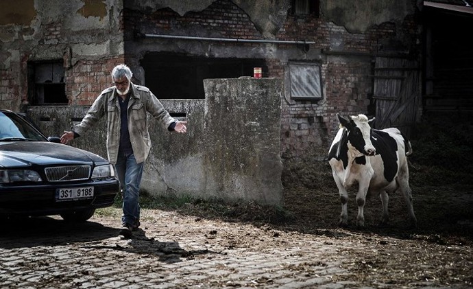 Hlavním hrdinou Teorie tygra je veterinář Jan (Jiří Bartoška), který má už dost komandování... A tak opouští svou manželku Olgu (Eliška Balzerová).
