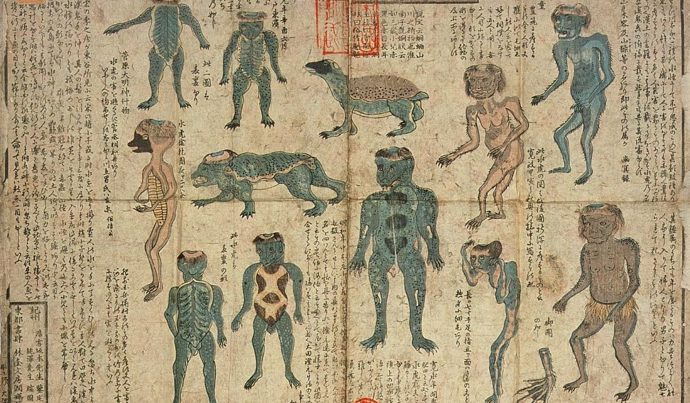 Tato ilustrace zobrazuje až dvanáct druhů japonského vodníka.