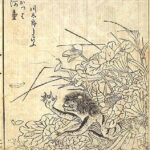 Mýtické vodní stvoření jménem Kappa je nedílnou součástí japonské historie. Zde na obrazu Toriyama Sekiena.