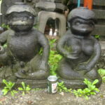 Sošek Kappy je v Japonsku habaděj.