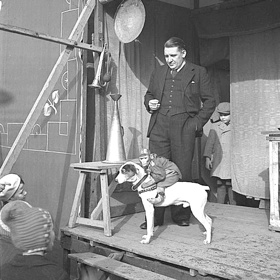 Na Matějskou pouť patřila i zajímavá podívaná, nad kterou dnes ochránci zvířat jen smutně kroutí hlavou. Opice na osedlaném psu lákala dychtivé diváky.