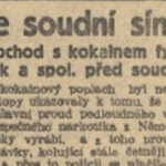 Skutečné příběhy ze soudní síně byly za první republiky vítanou zábavou. Internet nebyl, lidé by se jinak těžko dozvěděli, co se děje v podsvětí. A upřímně řečeno – takové příběhy zajímaly naše předky úplně stejně, jako zajímají dnes nás. 