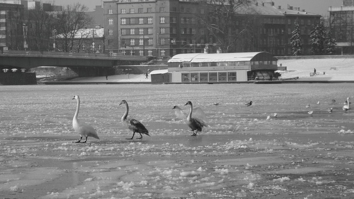 Řeky zamrzly. Děti sice měly kde bruslit, ale lodě s uhlím a dalším potřebným materiálem vyplout nemohly.