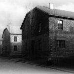 Budovy, které sloužily k nucené prostituci, vznikly podle plánu šéfa SS Heinricha Himmlera v deseti koncentračních táborech.