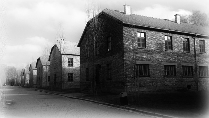 Budovy, které sloužily k nucené prostituci, vznikly podle plánu šéfa SS Heinricha Himmlera v deseti koncentračních táborech.