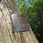 Tollundský muž má na místě nálezu „pamětní desku“. Dělníci si ale nejprve mysleli, že narazili na oběť nedávné vraždy. Až vědci určili, o jak dávnou mumii se jedná.