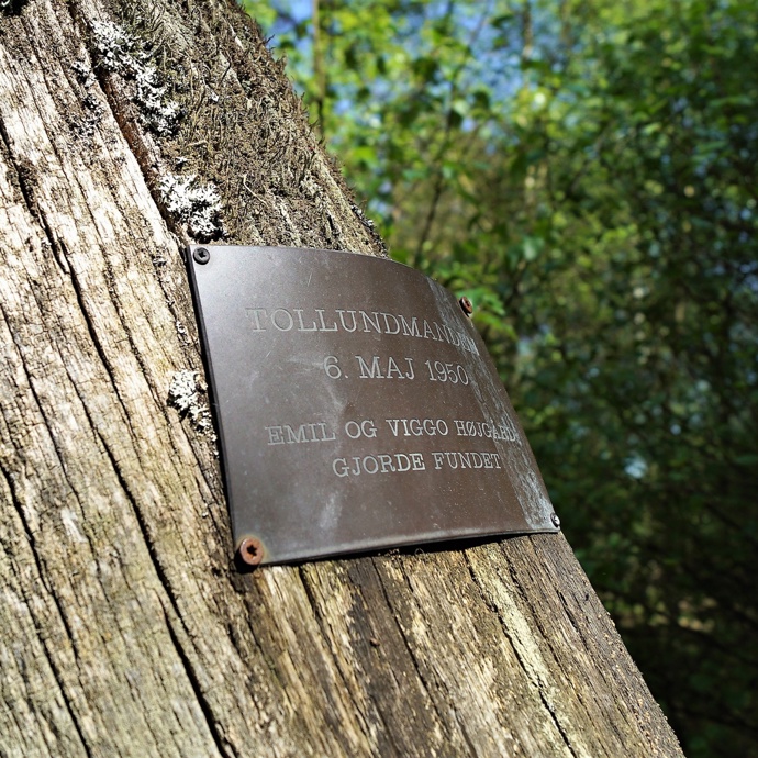 Tollundský muž má na místě nálezu „pamětní desku“. Dělníci si ale nejprve mysleli, že narazili na oběť nedávné vraždy. Až vědci určili, o jak dávnou mumii se jedná.