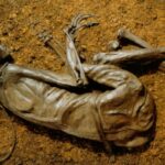 Poloha těla Tollundského muže, pečlivost, s jakou bylo do hrobu uloženo, i skutečnost, že měl zavřené oči a ústa, svědčí o tom, že bylo s tělem nakládáno pietně.