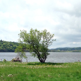 Krajina, kde byla mumie nalezena, je malebná. Jak ji asi viděl Tollundský muž? 