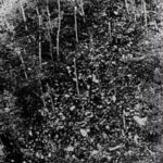 Místo dopadu nedlouho po tragédii. Trosky a bohužel i části lidských těl byly rozesety všude po okolí... 