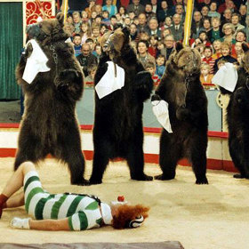 Drezuru medvědů zajišťoval Ferdinand Berousek.
