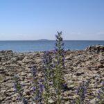 Přesto se na něm nachází unikátní příroda. V roce 1926 byl prohlášen za národní park.
