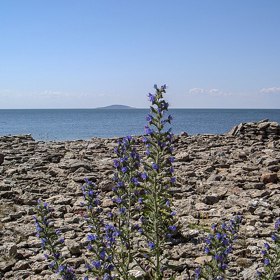 Přesto se na něm nachází unikátní příroda. V roce 1926 byl prohlášen za národní park.
