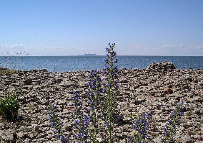 Přesto se na něm nachází unikátní příroda. V roce 1926 byl prohlášen za národní park.
