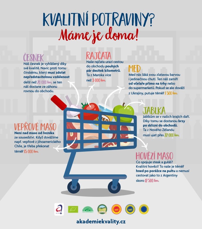 Infografika
