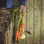 Tušíte, jakou cestu urazily potraviny, než se dostaly na váš stůl?