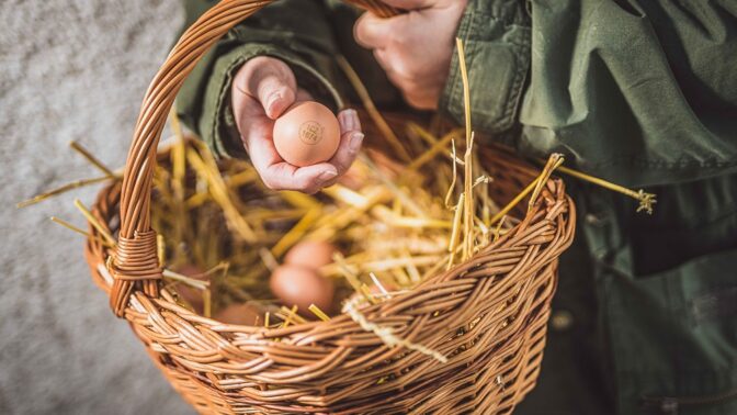 Pečlivá volba potravin dokáže zázraky. Jak začít?