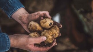 Roste zájem o původ potravin. Proč je dobré ho znát?