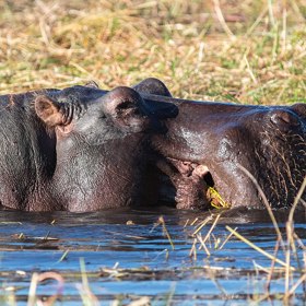 Ve skutečnosti by tomu i tak bylo...