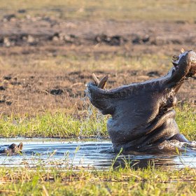 Takže, když ho něco, nebo někdo naštve...