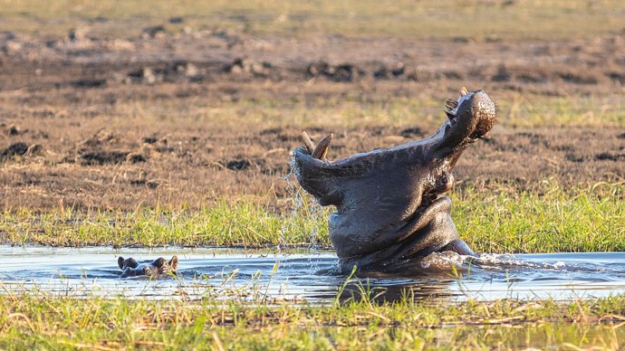 Takže, když ho něco, nebo někdo naštve...