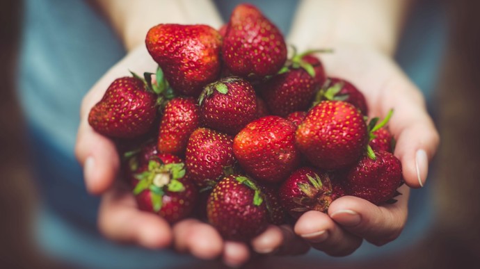 Sezona jahod je sice už pomalu za námi, ale je dobré vědět, že obsahují 91 % vody. Jsou také zdrojem vitamínu C, manganu a kyseliny listové. Dokonce pomáhají udržet na uzdě špatný cholesterol.