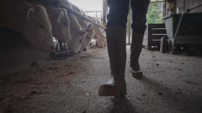 Kvůli byznysu, a zejména exportu do Francie a Německa, se však snažila vše ututlat. 