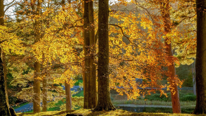 Přivítejte podzim stylově a vybavte se novinkami, které vás potěší