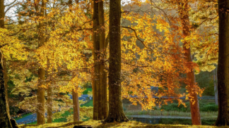 Nedovolte podzimu, aby se ujal vlády. Užijte si babí léto!