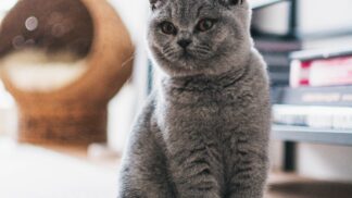 Nejen astmatici a alergici – čistý vzduch si zaslouží každý