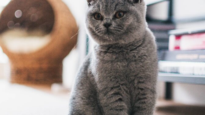 Nejen astmatici a alergici – čistý vzduch si zaslouží každý