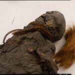 Tělo bylo nalezeno v roce 1897 v rašeliništi Stijfveen poblíž nizozemské vesnice Yde.