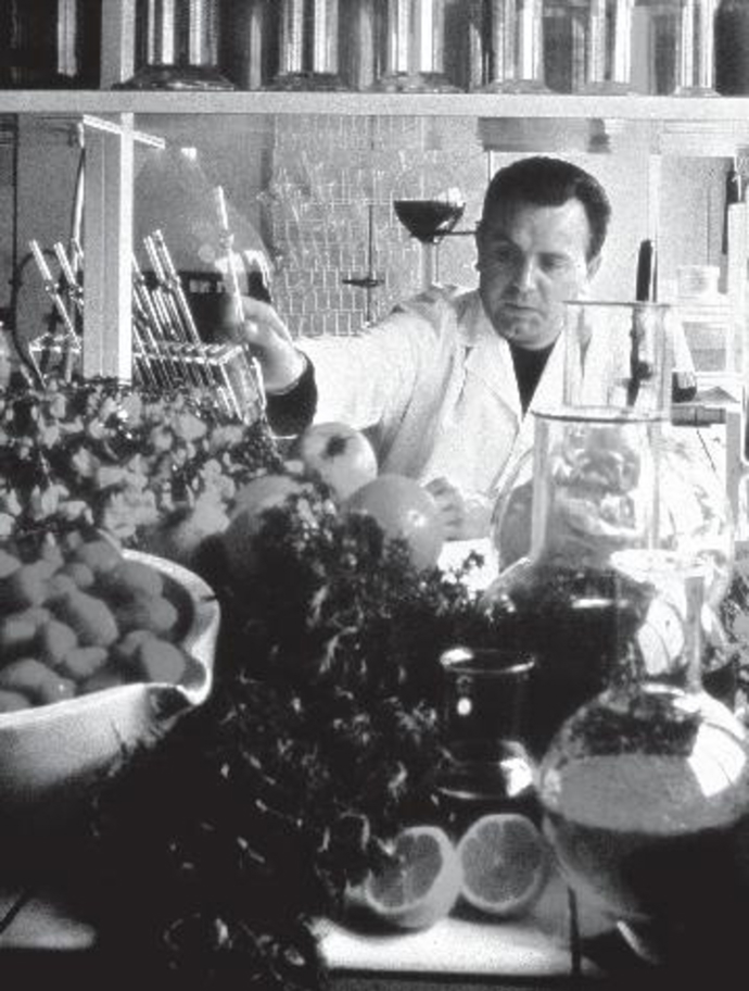 Značka Yves Rocher se zrodila v roce 1959 z vize pana Yvese Rochera.