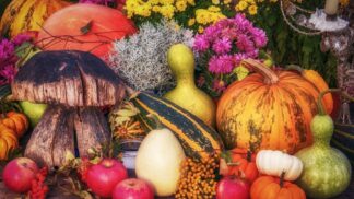 Barevný podzim v kuchyni: 3 tipy na zdravá jídla