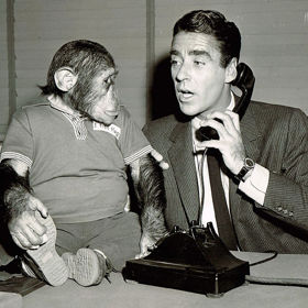 Po pěti letch před kamerou se musel šimpanz Fred pakovat. Začal totiž být velmi nerudný a agresivní.