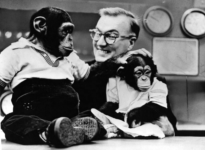 Šimpanz Fred se svou budoucí láskou Phoebe B. Beebe a "nepřítelem". Ten usměvavý pán je totiž Dave Garroway.