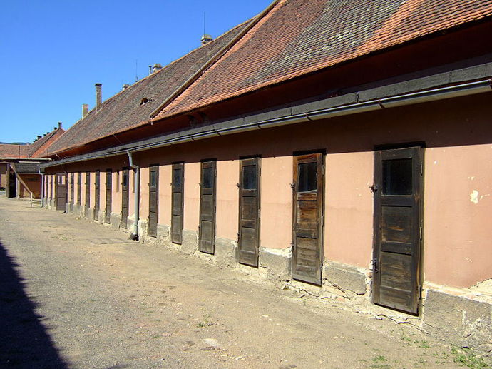 Takto vypadaly samotky v Terezíně.