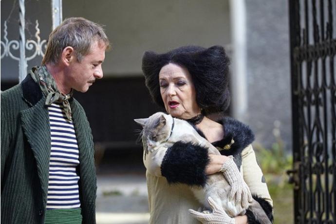 Pohádka Strašidla měla i herce z říše zvířat. Objevili se tam rovnou tři kocouři.