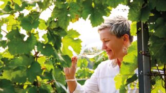 Víno jako vánoční dárek: Doporučuji znát chutě obdarovaného, radí someliérka