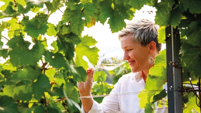 Víno jako vánoční dárek: Doporučuji znát chutě obdarovaného, radí someliérka