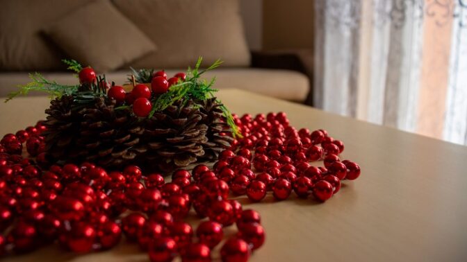 Chcete letos o Vánocích potěšit i přírodu?  Máme pro vás 3 tipy, jak na to