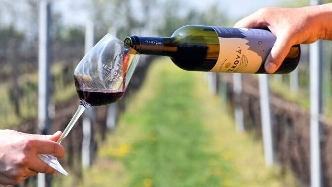 Vinice jí zničilo tornádo, půl roku poté budou její vína k dostání v Žabce