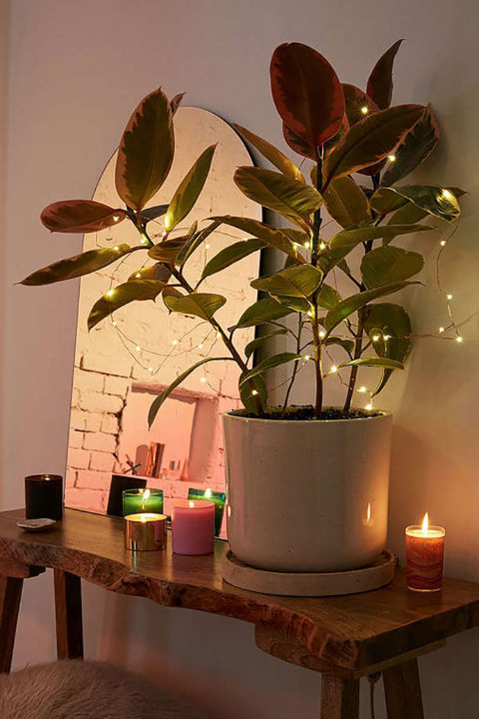 2. Zamotané v rostlině.