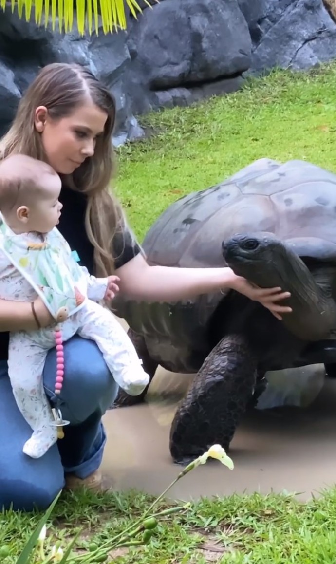 Dalším Graceiným miláčkem je údajně želví samec Igloo.