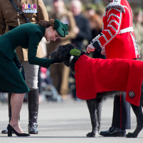 Prý si přála domov plný dětí a psů. Vévodkyně s pejskem vlídně promlouvá i ve chvíli, kdy má na sobě drahé sáčko a lodičky.