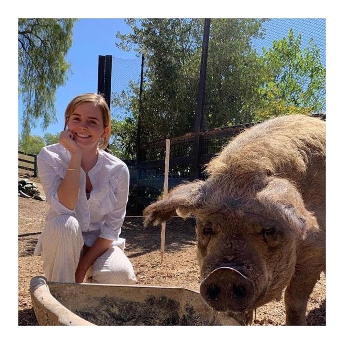 Emmu Watson okouzlil život na ekologické farmě natolik, že by si jednoho dne chtěla vybudovat podobný malý ráj. A možná si pořídí i prasátko... 