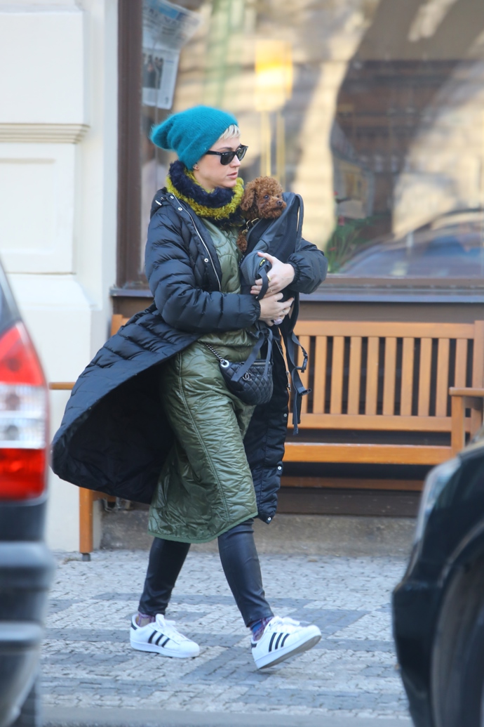 Doprovod jim dělal pejsek Misty, který se Orlandu Bloomovi později v zahraničí zaběhl a už nenašel.