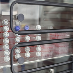 „Kultivované maso je ambiciózní projekt a jeho přínos bude obrovský. Jsem ráda, že se na tak vzrušujícím výzkumu mohu podílet. Jako každá vědecká činnost, i toto dodá člověku pocit, že jeho práce má nějaký vyšší smysl a význam,“ říká o své práci studentka gymnázia Kateřina Marešová.