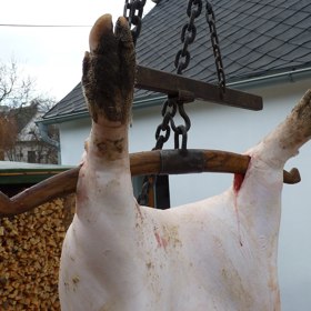 Tučný čtvrtek obvykle přinášel poslední zabíjačku sezony.