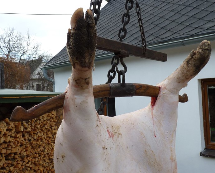 Tučný čtvrtek obvykle přinášel poslední zabíjačku sezony.